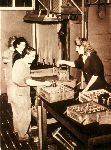 Women in the Workforce WWII