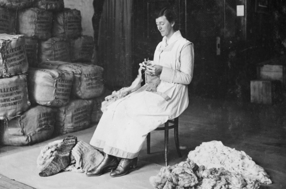 Miss Coll is shown knitting socks direct from the fleece of a sheep, for the Australian Comforts Fund.