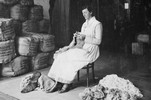 Miss Coll is shown knitting socks direct from the fleece of a sheep, for the Australian Comforts Fund.