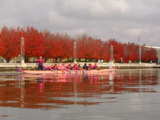 Dragons Abreast Canberra, Mother's Day Classic autumn event